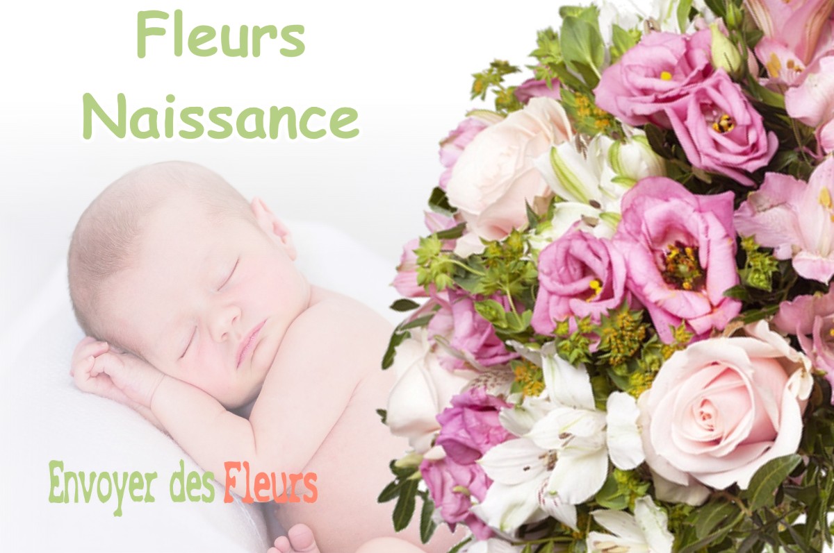 lIVRAISON FLEURS NAISSANCE à VOISSANT